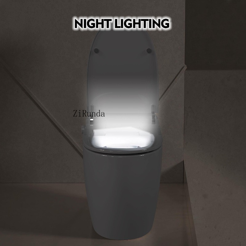 Heated Seat Smart Toilet, One  - đánh giá và giá Power Outage Light
