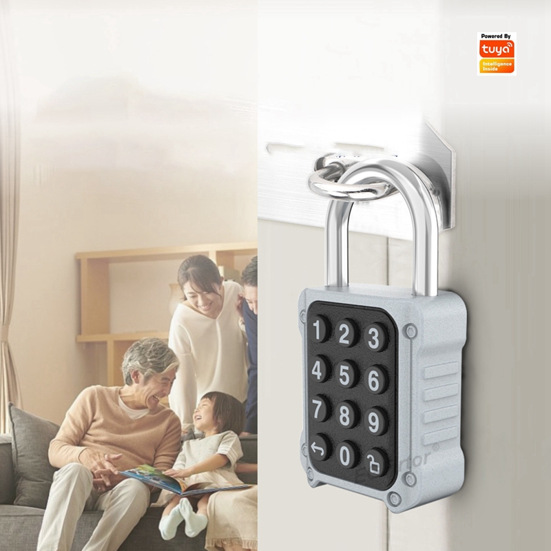 Tuya Bluetooth APP Remote Elec - đánh giá và giá Lockbox Key Secure