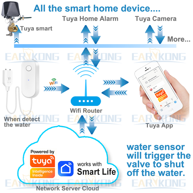 Tuya WiFi Smart Water Leak Sen - đánh giá và giá Water Alarm Sensor